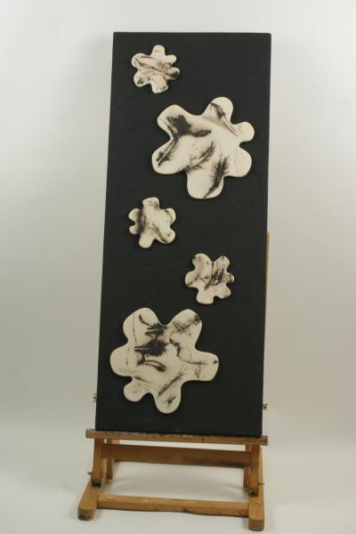 Plumes6